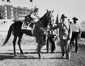 1953.jpg