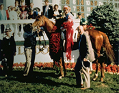 1986.jpg