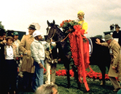 1989.jpg
