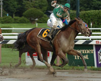 afleet_alex_200x160_ac.jpg