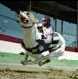 DOG RACING