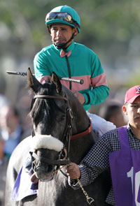 giacomo_200x295_mjm.jpg