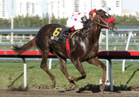 high_fly_200x140_eq.jpg