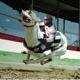 DOG RACING
