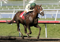 noble_causeway_200x140_eq.jpg