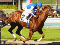 spanishchestnut_ba_200x150.jpg